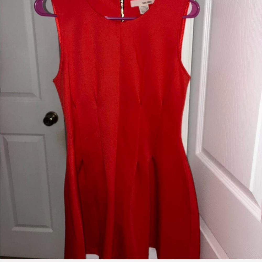 Sans Souci Vibrant Red Mini Dress